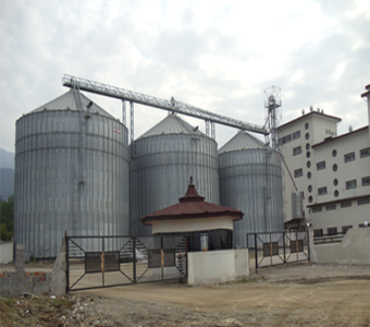 آرد ساحل قو